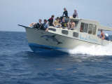 Coral Princess Dive Boat